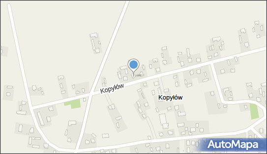 Zakład Usług Leśnych- Piotr Cholewicki, Kopyłów 128, Kopyłów 22-523 - Przedsiębiorstwo, Firma, NIP: 9191520406