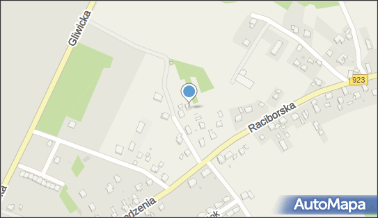 Zakład Usług Leśnych Sokół Inż.Michał Badura, Raszczyce 47-435 - Przedsiębiorstwo, Firma, NIP: 6422774678