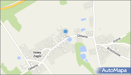 Zakład Usług Leśnych, ul. Główna 24, Nowy Zagór 66-600 - Przedsiębiorstwo, Firma, numer telefonu, NIP: 9261536081