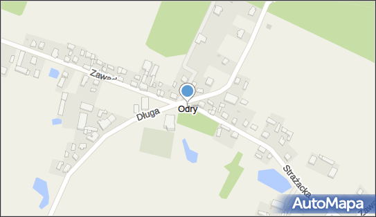 Zakład Usług Leśnych, Odry 4, Odry 89-651 - Przedsiębiorstwo, Firma, NIP: 5551275008