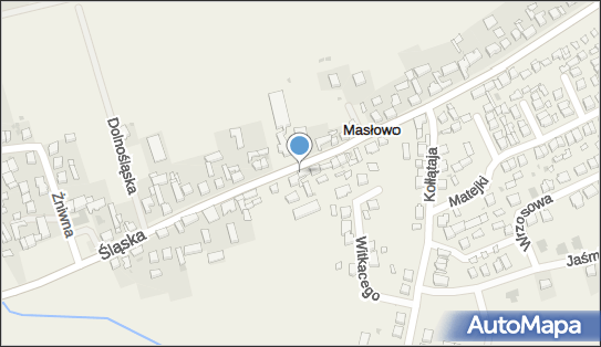 Zakład Usługowo Handlowy, Śląska 36, Masłowo 63-900 - Przedsiębiorstwo, Firma, NIP: 6991571639