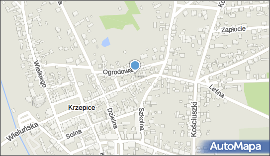 Zakład Usługowy, ul. Sienkiewicza 31, Krzepice 42-160 - Przedsiębiorstwo, Firma, NIP: 5741029790