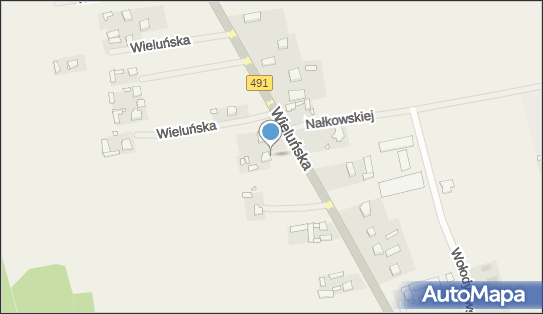 Zakład Usługowy, ul. Wieluńska 51, Popów 42-110 - Przedsiębiorstwo, Firma, NIP: 5741274041