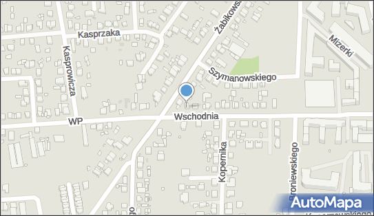Zakład Usługowy, ul. Wschodnia 1A, Luboń 62-030 - Przedsiębiorstwo, Firma, NIP: 7771214783