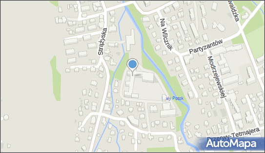 Zakopiańska Akademia Śpiewu Paulina Martini, Kasprusie 35a 34-500 - Przedsiębiorstwo, Firma, NIP: 5832732503