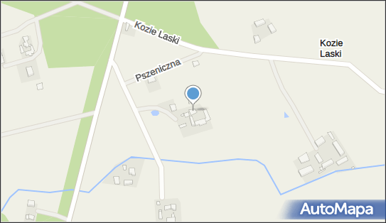Załadunek i Wyładunek Drewna, Kozie Laski 32, Kozie Laski 64-304 - Przedsiębiorstwo, Firma, NIP: 7881027102