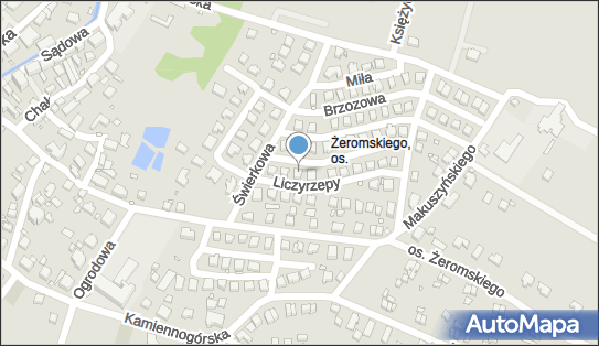 6111117429, Zamkutowicz Anna 