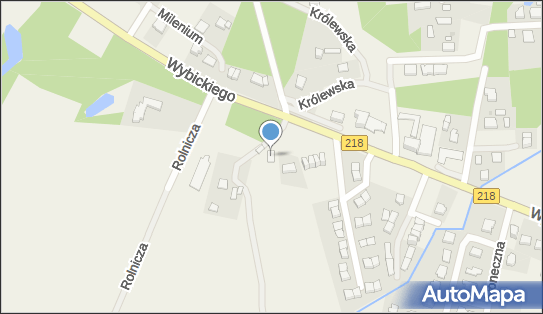 Zarobkowy Przewóz Osób Taksówką, ul. Józefa Wybickiego 41 81-207 - Przedsiębiorstwo, Firma, NIP: 5881655949