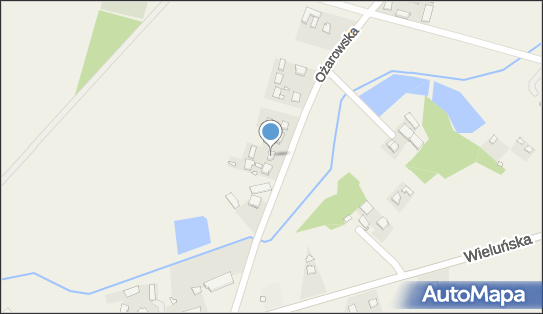 Zarobkowy Przewóz Osób Taxi nr 2, Ożarowska 5, Kowale 46-320 - Przedsiębiorstwo, Firma, NIP: 5761031850