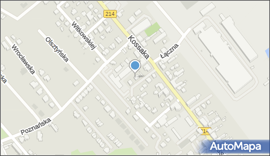 8411016691, Zarobkowy Przewóz Osób Taxi Osobowe - Koszałka Bogdan 