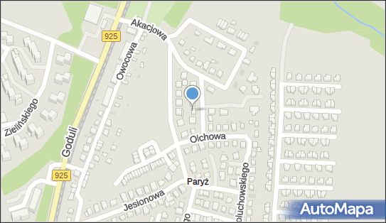 Zbigniew Kaczmarski - Działalność Gospodarcza, ul. Leszczynowa 8 41-703 - Przedsiębiorstwo, Firma, NIP: 6411026300