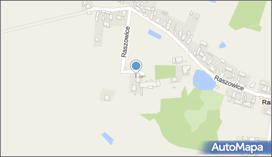 Zbigniew Kikut Taxi, Raszowice 25, Raszowice 55-110 - Przedsiębiorstwo, Firma, NIP: 9151070167