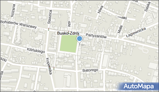 Zbigniew Palonek - Działalność Gospodarcza, pl. Zwycięstwa 21 28-100 - Przedsiębiorstwo, Firma, numer telefonu, NIP: 6551110029