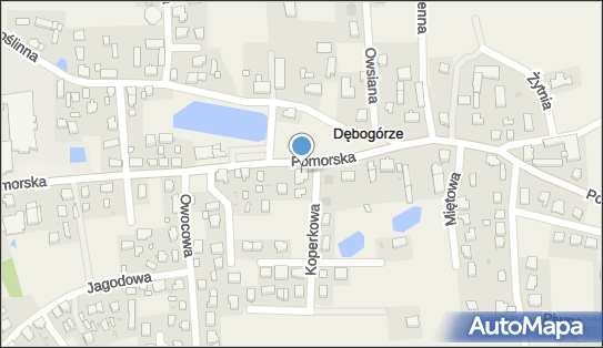 221046206, Zbigniew Paturej Biuro Ochrony Fortis Security Zbigniew Paturej 