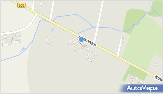 Zbigniew Szymczak S Taxi, Kowalska 31, Gostynin 09-500 - Przedsiębiorstwo, Firma, numer telefonu