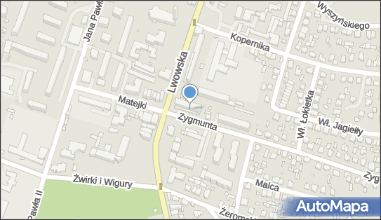 Zbigniew Wiatrak - Działalność Gospodarcza, Króla Zygmunta 1 22-600 - Przedsiębiorstwo, Firma, NIP: 9211025214