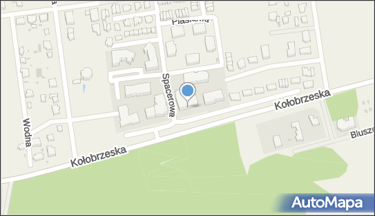 Zbigniew Żeliszczak Maxtrans, Spacerowa 19, Grzybowo 78-132 - Przedsiębiorstwo, Firma, NIP: 6721269089