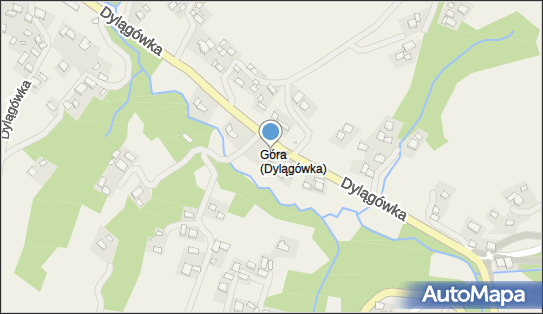 Zdrowie Piotr Pleśniak, Dylągówka 169, Dylągówka 36-025 - Przedsiębiorstwo, Firma, NIP: 8133204438