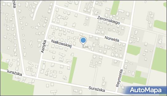 Zdzisław Borowski, ul. Zofii Nałkowskiej 17, Gąsówka Stara 18-100 - Przedsiębiorstwo, Firma, NIP: 9660238907