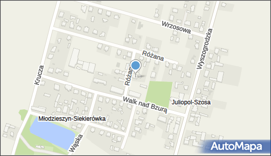 Zdzisława Dąbrowska - Działalność Gospodarcza, Młodzieszyn 96-512 - Przedsiębiorstwo, Firma, NIP: 8371004769