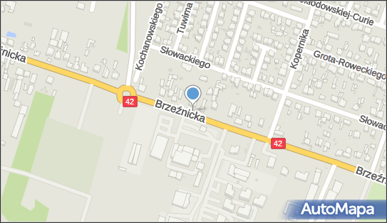 Zdzisława Kosmala - Działalność Gospodarcza, Brzeźnicka 108 97-500 - Przedsiębiorstwo, Firma, numer telefonu, NIP: 7721276109