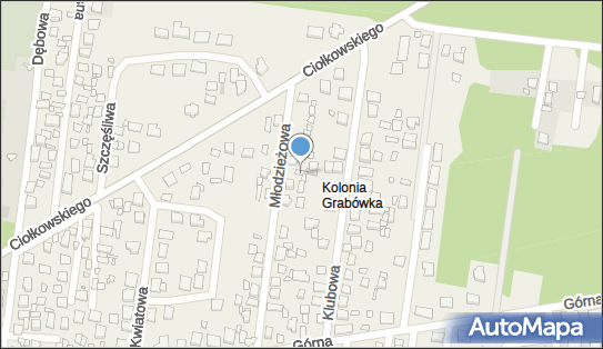 Zegarmistrzostwo Leonczuk Jan, Młodzieżowa 11, Grabówka 15-523 - Przedsiębiorstwo, Firma, NIP: 9660846972