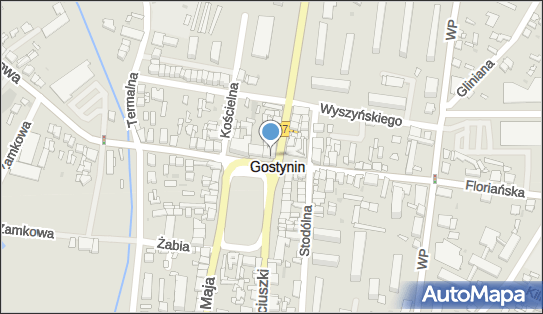 Zellig Dominik Duziak, ul. Rynek 15, Gostynin 09-500 - Przedsiębiorstwo, Firma, NIP: 9710120899