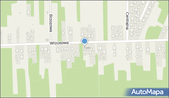 Zenon Kurp, Wrzosowa 71, Mniów 26-080 - Przedsiębiorstwo, Firma, NIP: 6581054749