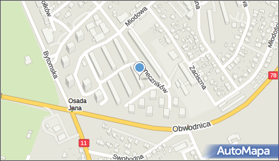 Zespół Instrumentalno Wokalny Comes Ziob M Srokocz M 42-600 - Przedsiębiorstwo, Firma, NIP: 6452132097