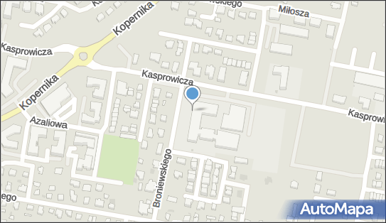 5932179514, Szkoła Podstawowa nr 4 im.Ignacego Jana Paderewskiego w Pruszczu Gdańskim 