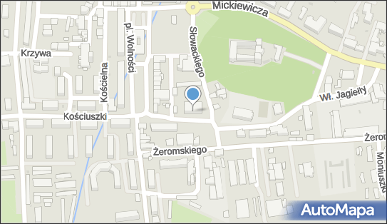 Zespół Szkół Ogólnokształcących w Nidzicy, Nidzica 13-100 - Przedsiębiorstwo, Firma, godziny otwarcia, numer telefonu, NIP: 9840013682