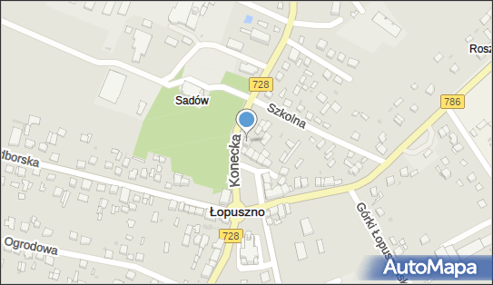 Zespół Szkół Ponadgimnazjalnych nr 5 w Łopusznie, Konecka 2 26-070 - Przedsiębiorstwo, Firma, numer telefonu, NIP: 9591545829
