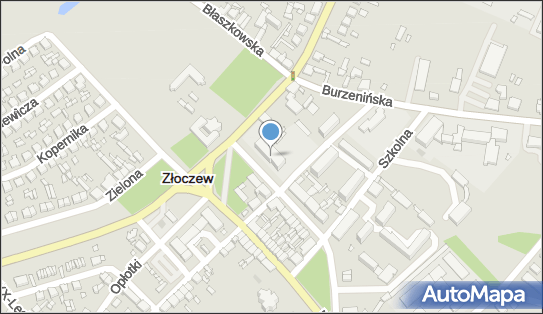 8272065006, Zespół Szkół Ponadgimnazjalnych w Złoczewie 