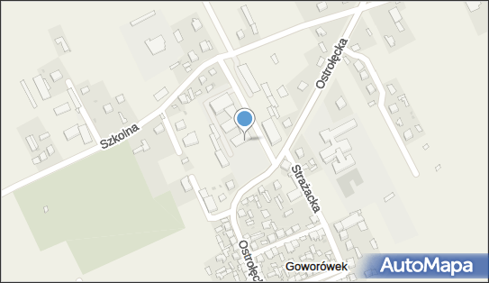 Zespół Szkół Powiatowych, ul. Ostrołęcka 27, Goworowo 07-440 - Przedsiębiorstwo, Firma, numer telefonu