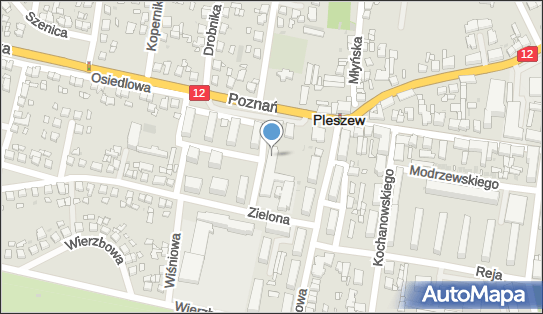 6172042312, Zespół Placówek Specjalnych w Pleszewie 