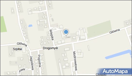 5482196813, Szkoła Podstawowa im.Władysława Broniewskiego w Drogomyślu 