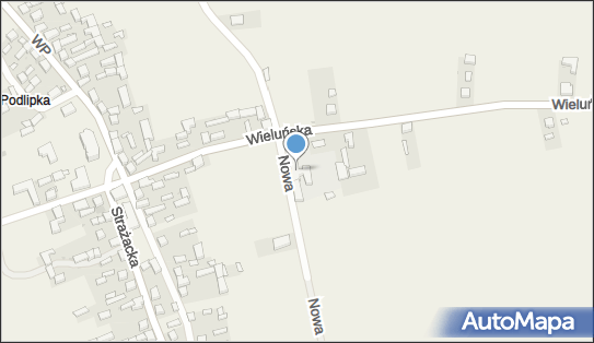 Zespół Szkół w Wójcinie, Wieluńska 9, Wójcin 98-432 - Przedsiębiorstwo, Firma, numer telefonu