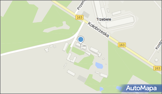 Zgromadzenie Sióstr Albertynek Posługujących Ubogim, Białogard 78-200 - Przedsiębiorstwo, Firma, NIP: 6721968203