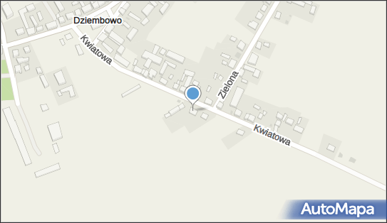 Zhu ul Mateusz Wiese, Dziembowo 44A, Dziembowo 64-810 - Przedsiębiorstwo, Firma, NIP: 7642653032