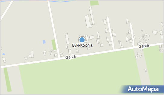 Ziel Trans, Gęsia 31, Piotrków Trybunalski 97-300 - Przedsiębiorstwo, Firma, NIP: 7711069521