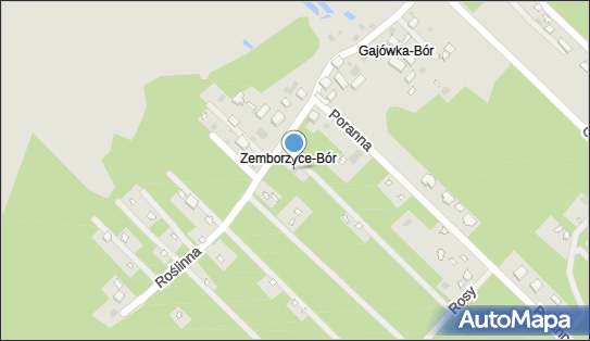 Zielińska Zofia Handel Obwoźny, Roślinna 42, Lublin 20-516 - Przedsiębiorstwo, Firma, NIP: 9461627055