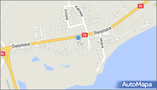 Zielony Ogród Balcerak Jerzy, ul. Ślesińska 30A, Konin 62-506 - Przedsiębiorstwo, Firma, numer telefonu, NIP: 6651580237