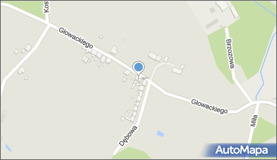 890349348, Zienkiewicz Ryszard 