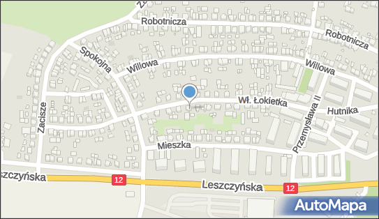 Ziółek Mariusz Ziółek Gostyń, ul. Władysława Łokietka 11 63-800 - Przedsiębiorstwo, Firma, NIP: 6961173325