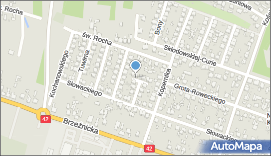 Znakowanie Przeciwkradzieżowe Pojazdów, ul. Orkana 9, Radomsko 97-500 - Przedsiębiorstwo, Firma, NIP: 7721503203