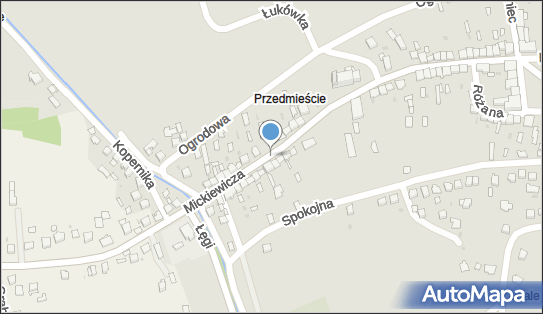 Zofia Bolechała, ul. Adama Mickiewicza 44, Zakliczyn 32-840 - Przedsiębiorstwo, Firma, NIP: 8691111509