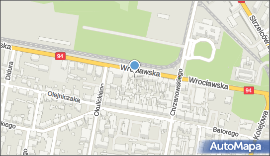 Zofia Janeczek Fotorys Studio Fotografii, Wrocławska 28, Bytom 41-902 - Przedsiębiorstwo, Firma, NIP: 6261875976