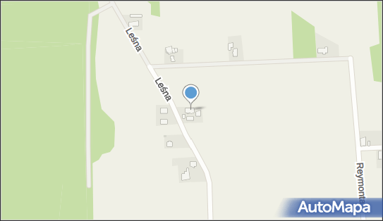 Zofia Łabędź, Leśna 6, Ładza 46-034 - Przedsiębiorstwo, Firma, NIP: 7521102445