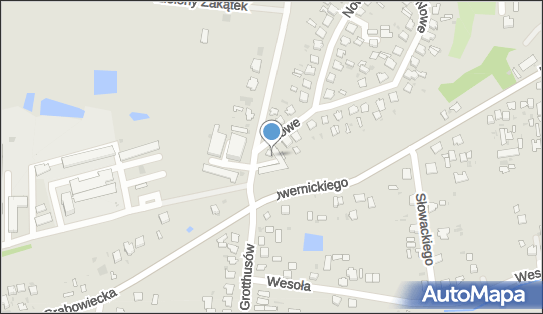 9191036113, Lecko Zofia 