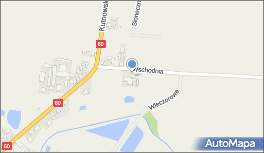 Zola, Wschodnia 4, Witonia 99-335 - Przedsiębiorstwo, Firma, numer telefonu, NIP: 7750010259